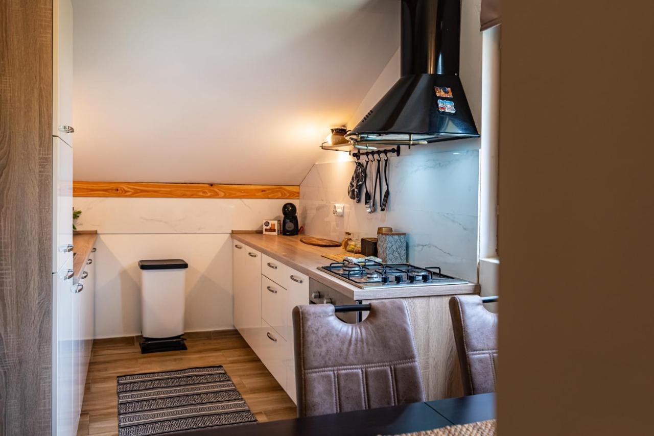 Apartment Maris2 Novigrad  Εξωτερικό φωτογραφία