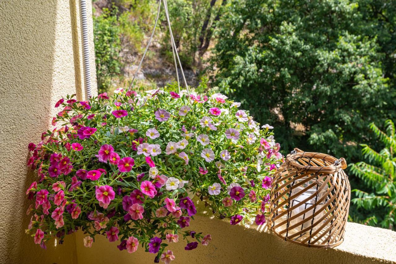 Apartment Maris2 Novigrad  Εξωτερικό φωτογραφία