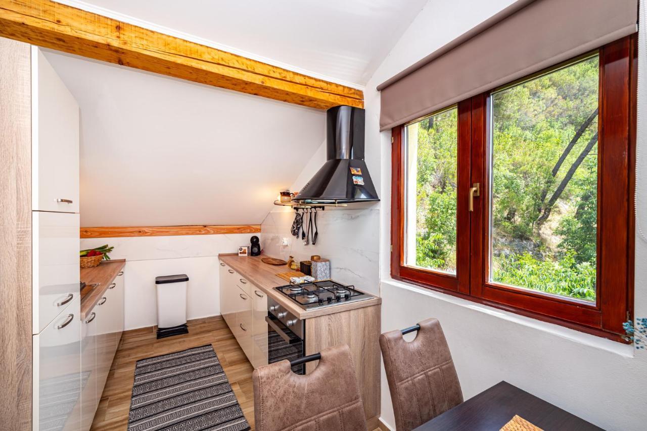 Apartment Maris2 Novigrad  Εξωτερικό φωτογραφία