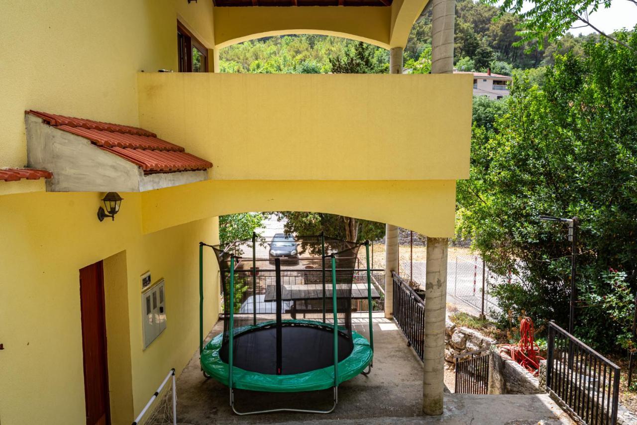 Apartment Maris2 Novigrad  Εξωτερικό φωτογραφία