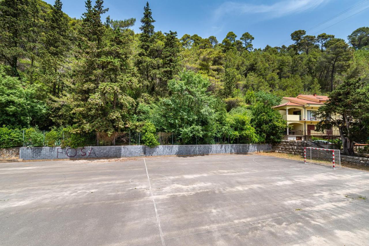 Apartment Maris2 Novigrad  Εξωτερικό φωτογραφία